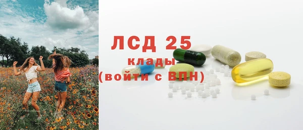 шишки Осташков